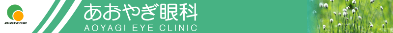 長野県上田市 あおやぎ眼科